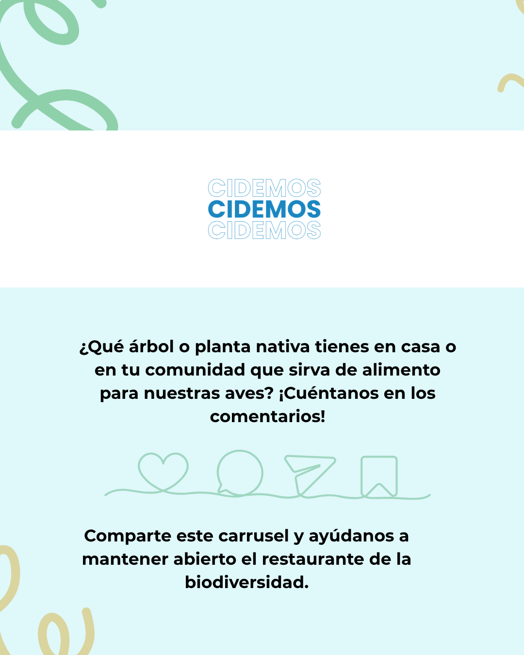 Imagen 6